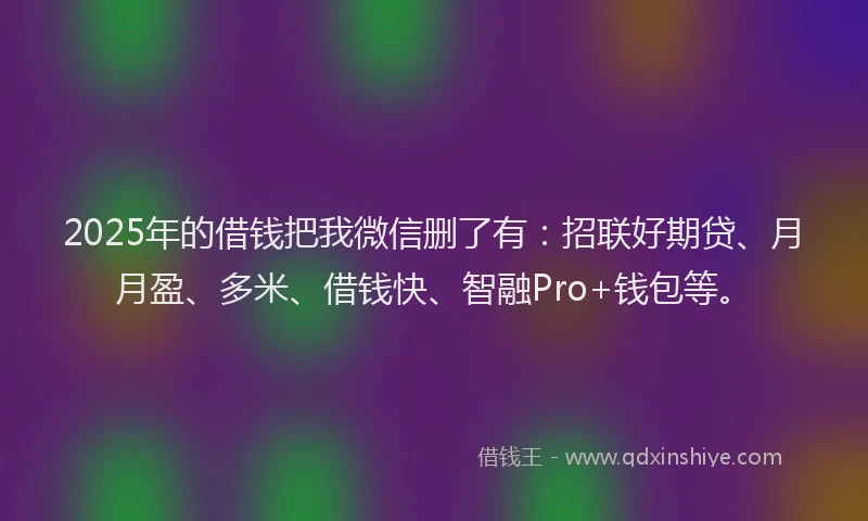 2025年的借钱把我微信删了有：招联好期贷、月月盈、多米、借钱快、智融Pro+钱包等。
