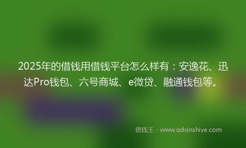 2025年的借钱用借钱平台怎么样有：安逸花、迅达Pro钱包、六号商城、e微贷、融通钱包等。