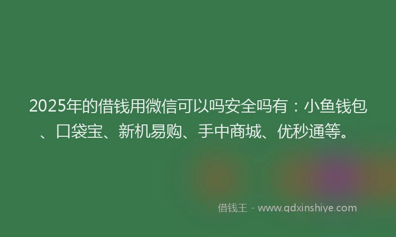2025年的借钱用微信可以吗安全吗有：小鱼钱包、口袋宝、新机易购、手中商城、优秒通等。