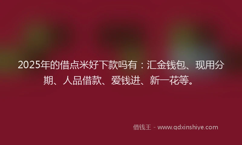 2025年的借点米好下款吗有：汇金钱包、现用分期、人品借款、爱钱进、新一花等。