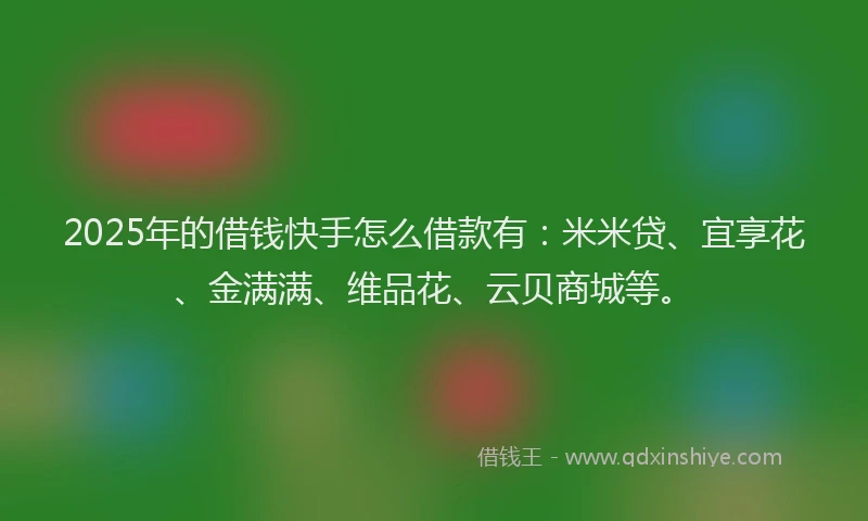 2025年的借钱快手怎么借款有：米米贷、宜享花、金满满、维品花、云贝商城等。