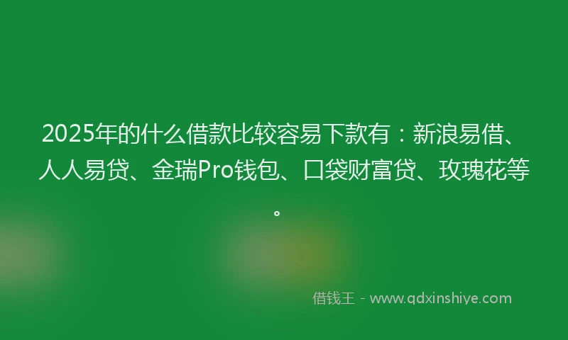 2025年的什么借款比较容易下款有：新浪易借、人人易贷、金瑞Pro钱包、口袋财富贷、玫瑰花等。