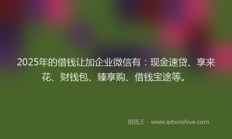 2025年的借钱让加企业微信有：现金速贷、享来花、财钱包、臻享购、借钱宝途等。