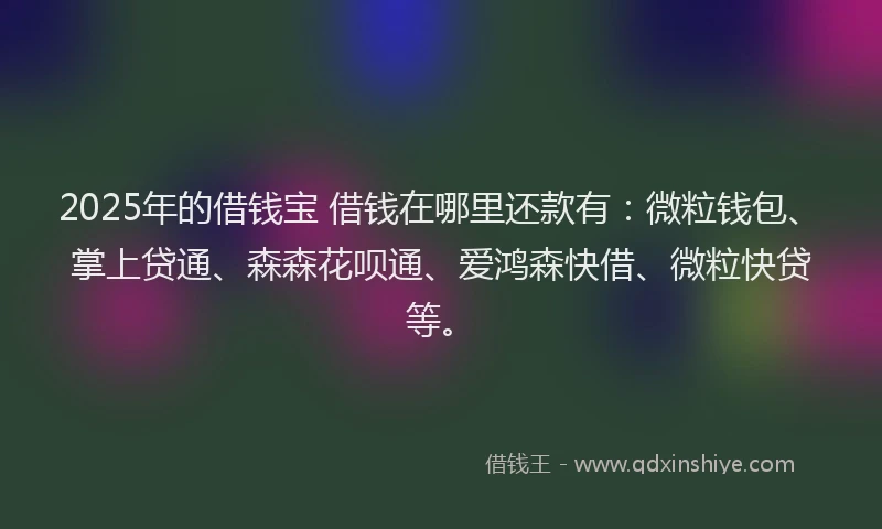 2025年的借钱宝 借钱在哪里还款有：微粒钱包、掌上贷通、森森花呗通、爱鸿森快借、微粒快贷等。