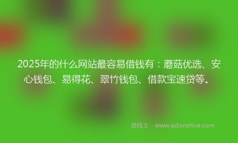 2025年的什么网站最容易借钱有：蘑菇优选、安心钱包、易得花、翠竹钱包、借款宝速贷等。