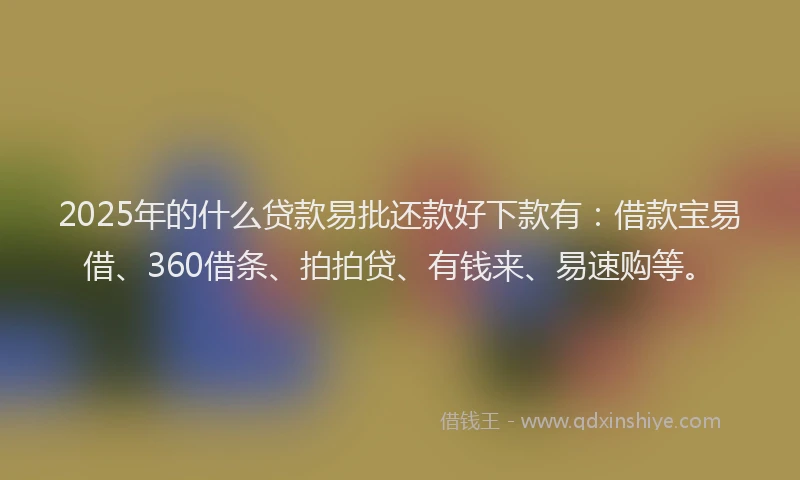 2025年的什么贷款易批还款好下款有：借款宝易借、360借条、拍拍贷、有钱来、易速购等。