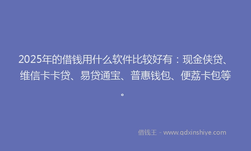 2025年的借钱用什么软件比较好有：现金侠贷、维信卡卡贷、易贷通宝、普惠钱包、便荔卡包等。