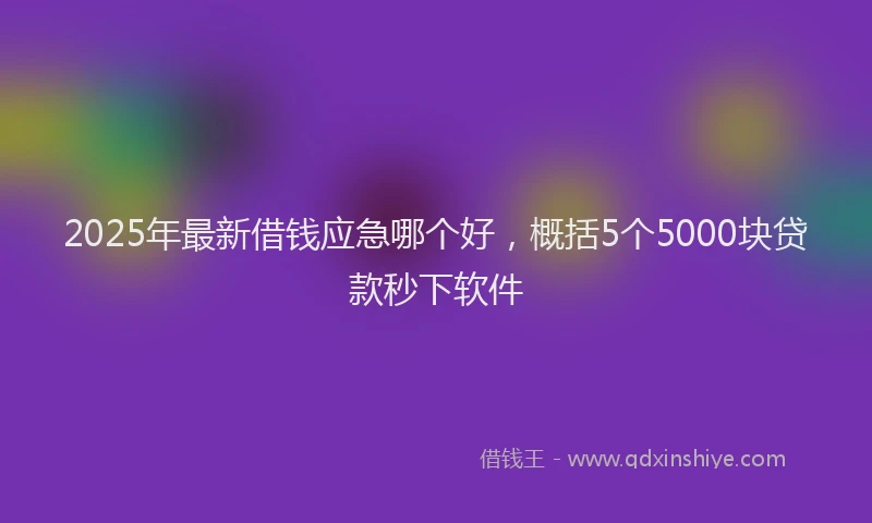 2025年最新借钱应急哪个好，概括5个5000块贷款秒下软件