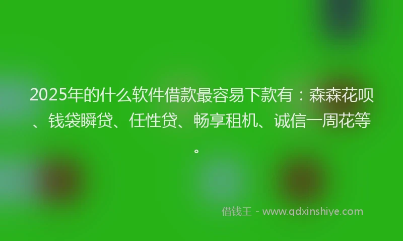 2025年的什么软件借款最容易下款有：森森花呗、钱袋瞬贷、任性贷、畅享租机、诚信一周花等。