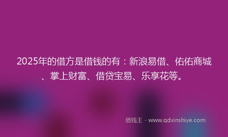 2025年的借方是借钱的有：新浪易借、佑佑商城、掌上财富、借贷宝易、乐享花等。