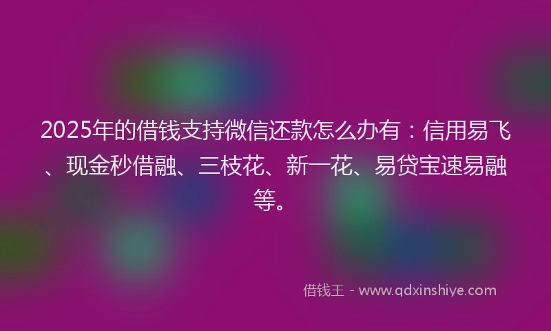 2025年的借钱支持微信还款怎么办有：信用易飞、现金秒借融、三枝花、新一花、易贷宝速易融等。