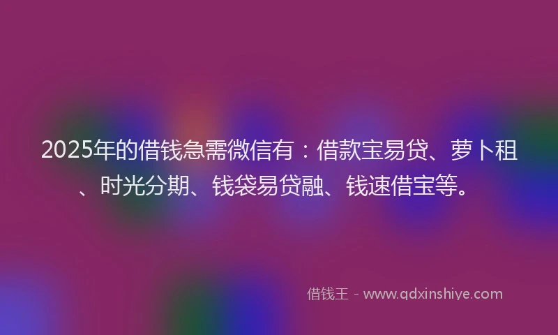 2025年的借钱急需微信有：借款宝易贷、萝卜租、时光分期、钱袋易贷融、钱速借宝等。