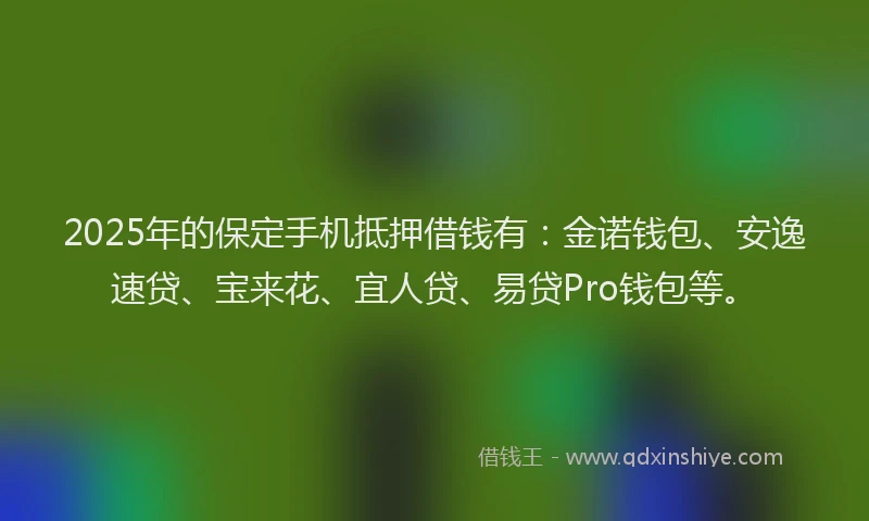 2025年的保定手机抵押借钱有：金诺钱包、安逸速贷、宝来花、宜人贷、易贷Pro钱包等。