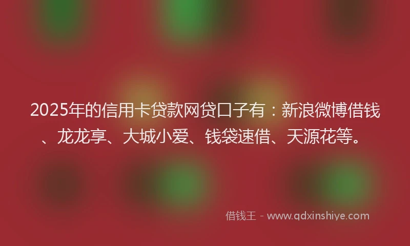2025年的信用卡贷款网贷口子有：新浪微博借钱、龙龙享、大城小爱、钱袋速借、天源花等。