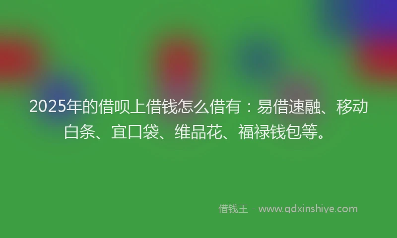 2025年的借呗上借钱怎么借有：易借速融、移动白条、宜口袋、维品花、福禄钱包等。