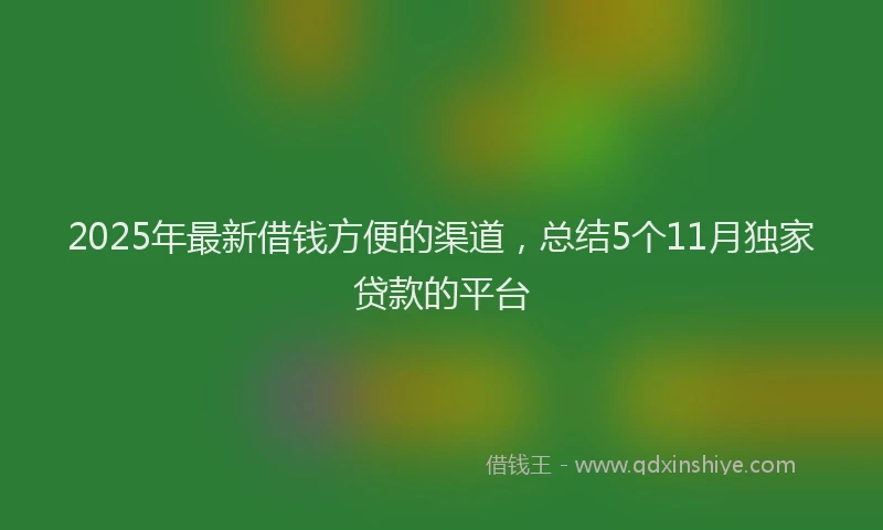 2025年最新借钱方便的渠道，总结5个11月独家贷款的平台