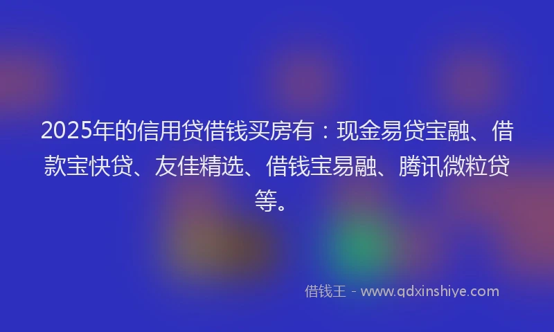 2025年的信用贷借钱买房有：现金易贷宝融、借款宝快贷、友佳精选、借钱宝易融、腾讯微粒贷等。