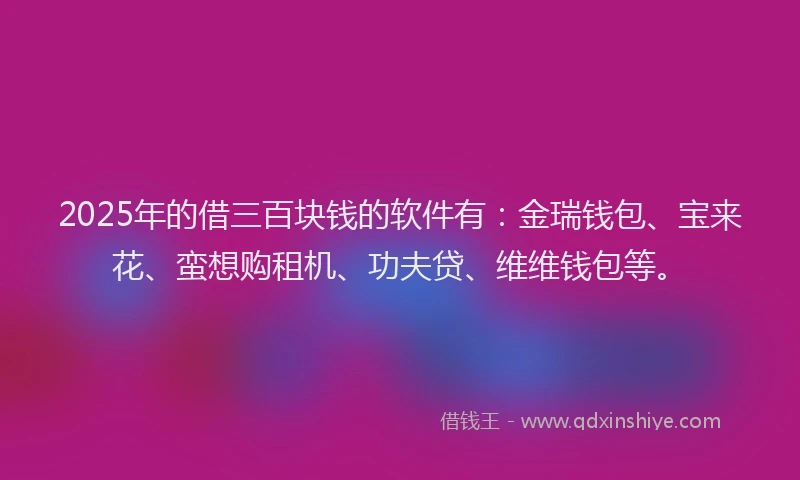 2025年的借三百块钱的软件有：金瑞钱包、宝来花、蛮想购租机、功夫贷、维维钱包等。