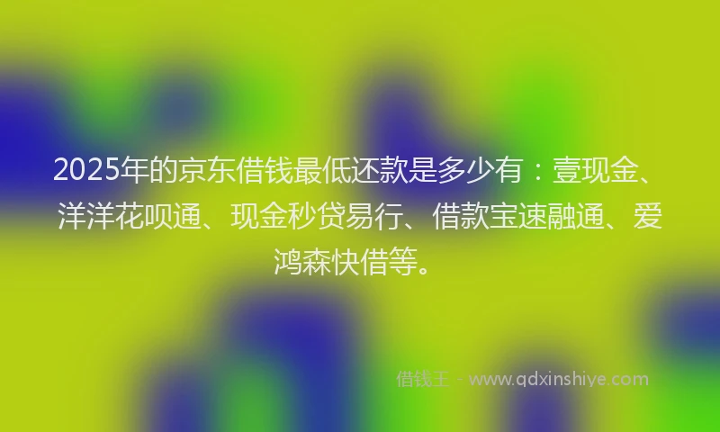 2025年的京东借钱最低还款是多少有：壹现金、洋洋花呗通、现金秒贷易行、借款宝速融通、爱鸿森快借等。