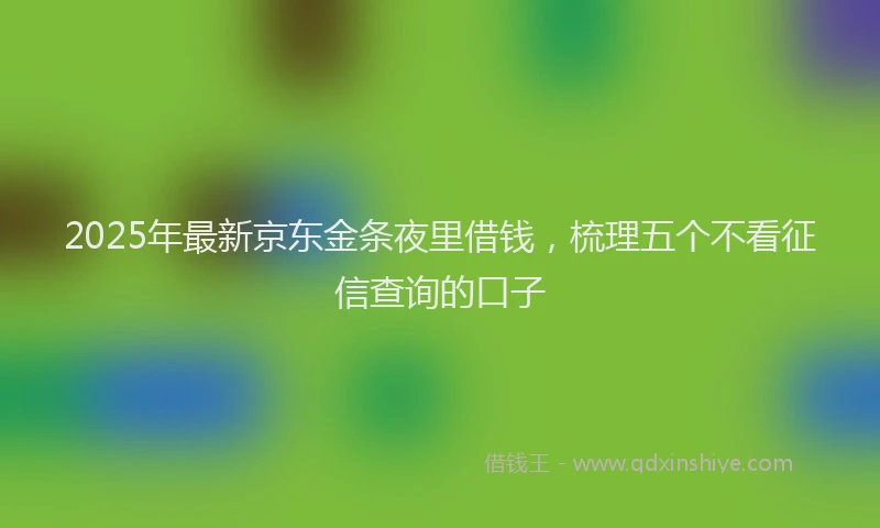 2025年最新京东金条夜里借钱，梳理五个不看征信查询的口子