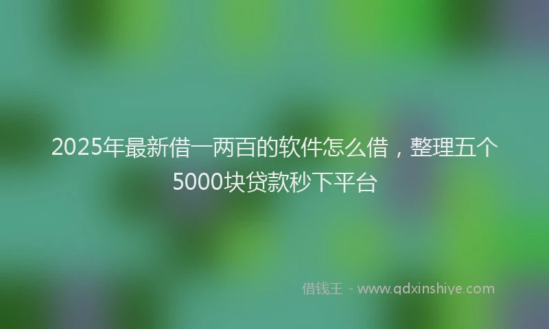 2025年最新借一两百的软件怎么借，整理五个5000块贷款秒下平台