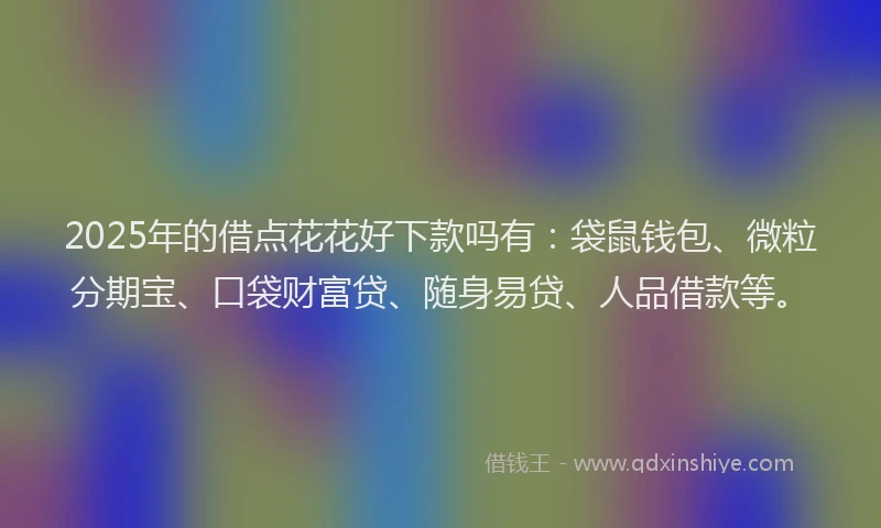 2025年的借点花花好下款吗有：袋鼠钱包、微粒分期宝、口袋财富贷、随身易贷、人品借款等。