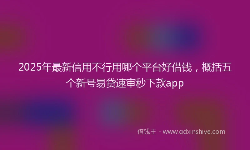 2025年最新信用不行用哪个平台好借钱，概括五个新号易贷速审秒下款app