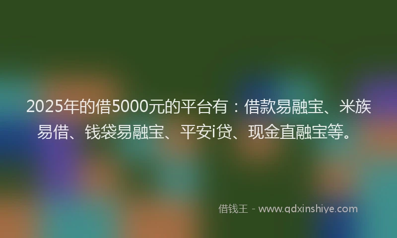 2025年的借5000元的平台有：借款易融宝、米族易借、钱袋易融宝、平安i贷、现金直融宝等。