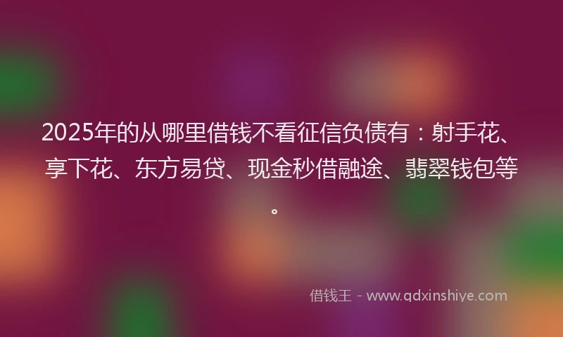 2025年的从哪里借钱不看征信负债有：射手花、享下花、东方易贷、现金秒借融途、翡翠钱包等。