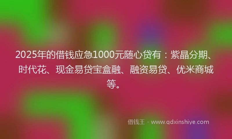 2025年的借钱应急1000元随心贷有：紫晶分期、时代花、现金易贷宝盒融、融资易贷、优米商城等。