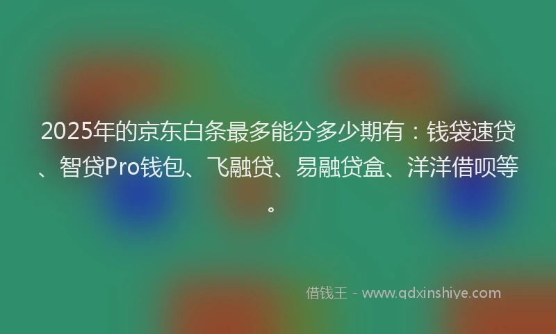 2025年的京东白条最多能分多少期有：钱袋速贷、智贷Pro钱包、飞融贷、易融贷盒、洋洋借呗等。