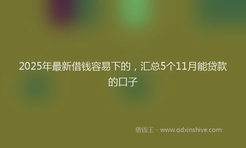 2025年最新借钱容易下的，汇总5个11月能贷款的口子