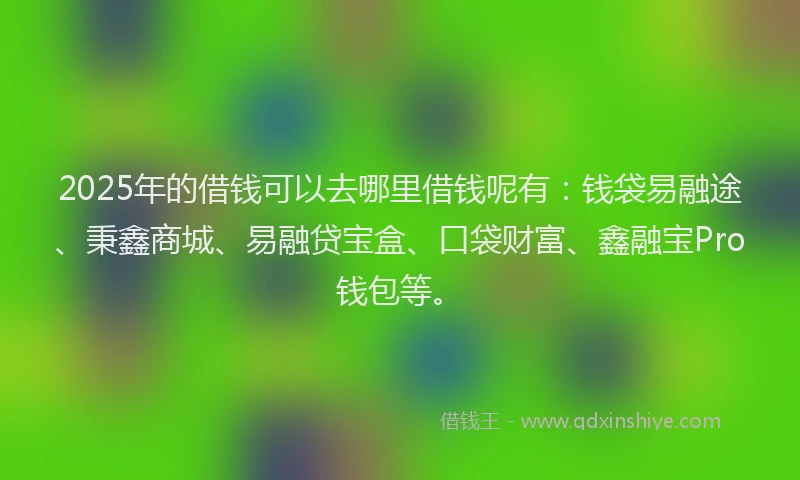 2025年的借钱可以去哪里借钱呢有：钱袋易融途、秉鑫商城、易融贷宝盒、口袋财富、鑫融宝Pro钱包等。