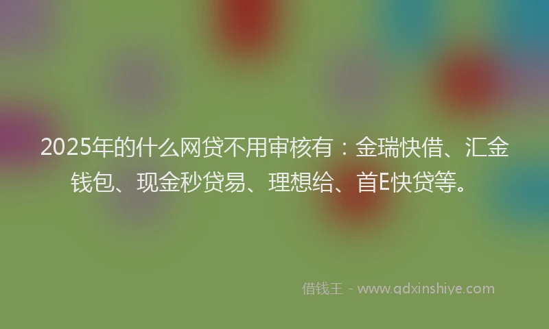 2025年的什么网贷不用审核有：金瑞快借、汇金钱包、现金秒贷易、理想给、首E快贷等。