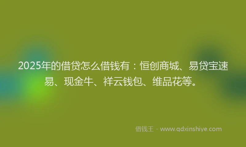 2025年的借贷怎么借钱有：恒创商城、易贷宝速易、现金牛、祥云钱包、维品花等。