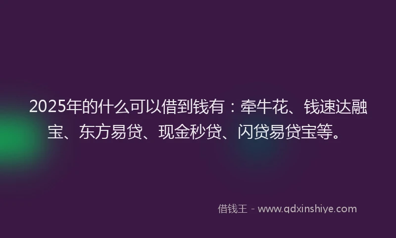 2025年的什么可以借到钱有：牵牛花、钱速达融宝、东方易贷、现金秒贷、闪贷易贷宝等。
