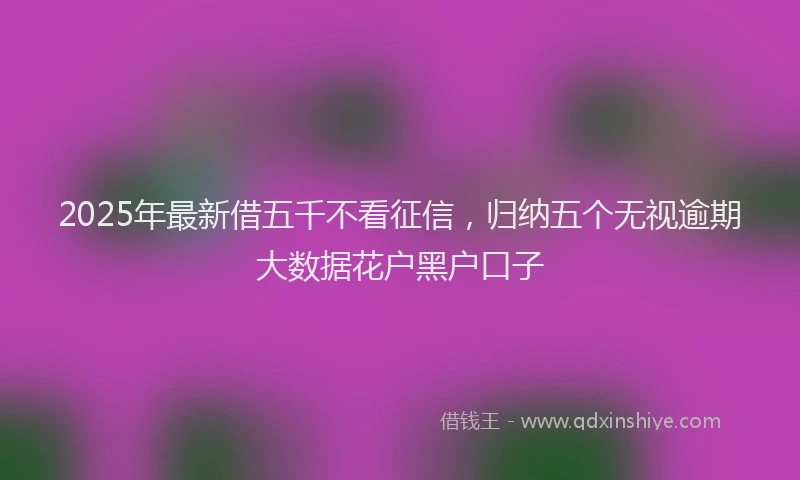 2025年最新借五千不看征信，归纳五个无视逾期大数据花户黑户口子