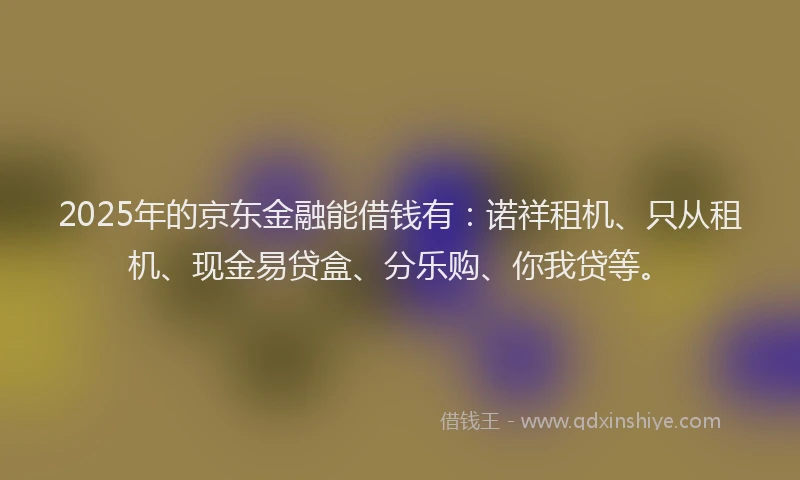 2025年的京东金融能借钱有：诺祥租机、只从租机、现金易贷盒、分乐购、你我贷等。