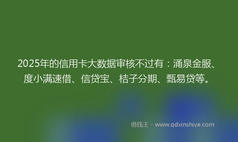 2025年的信用卡大数据审核不过有：涌泉金服、度小满速借、信贷宝、桔子分期、甄易贷等。