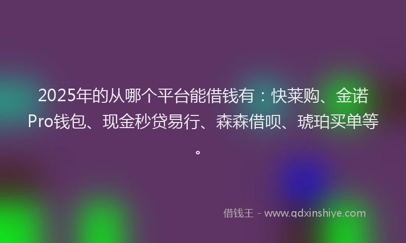 2025年的从哪个平台能借钱有：快莱购、金诺Pro钱包、现金秒贷易行、森森借呗、琥珀买单等。