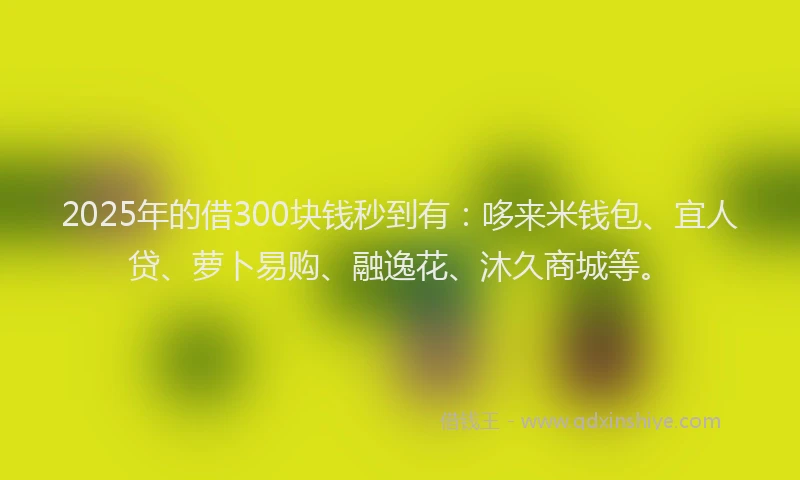 2025年的借300块钱秒到有：哆来米钱包、宜人贷、萝卜易购、融逸花、沐久商城等。