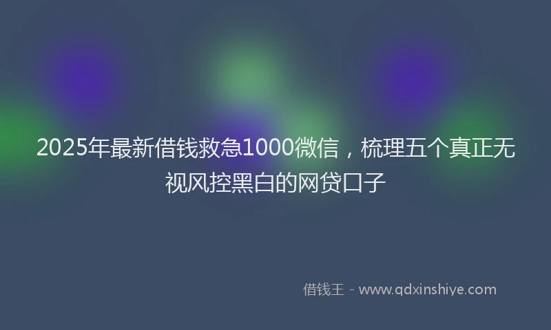 2025年最新借钱救急1000微信，梳理五个真正无视风控黑白的网贷口子