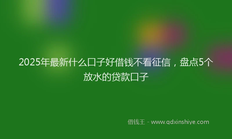 2025年最新什么口子好借钱不看征信，盘点5个放水的贷款口子