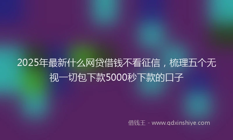 2025年最新什么网贷借钱不看征信，梳理五个无视一切包下款5000秒下款的口子