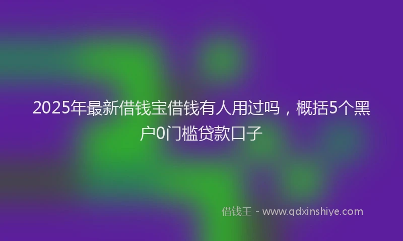 2025年最新借钱宝借钱有人用过吗，概括5个黑户0门槛贷款口子