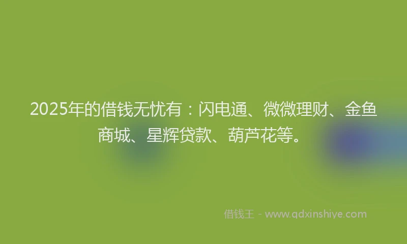2025年的借钱无忧有：闪电通、微微理财、金鱼商城、星辉贷款、葫芦花等。