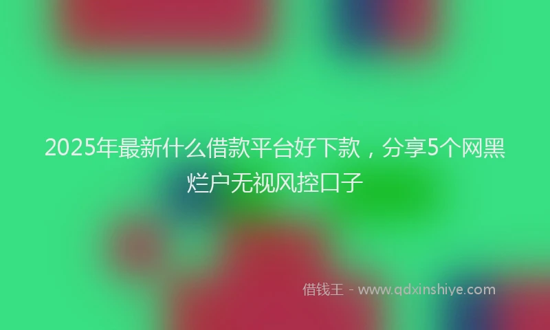 2025年最新什么借款平台好下款，分享5个网黑烂户无视风控口子