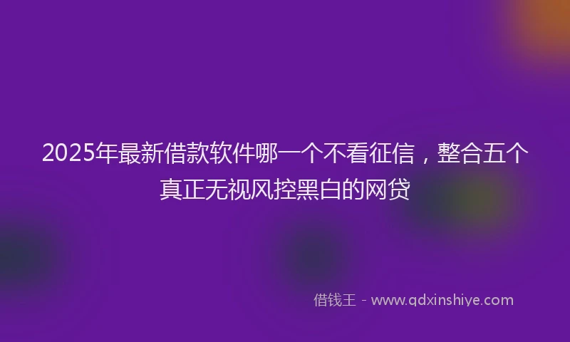 2025年最新借款软件哪一个不看征信，整合五个真正无视风控黑白的网贷