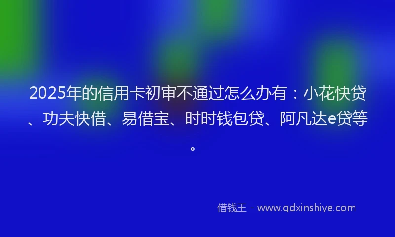 2025年的信用卡初审不通过怎么办有：小花快贷、功夫快借、易借宝、时时钱包贷、阿凡达e贷等。