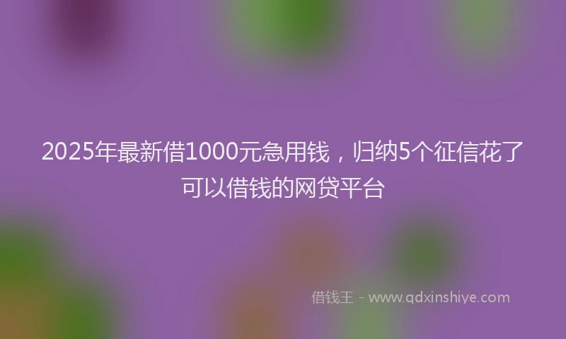 2025年最新借1000元急用钱，归纳5个征信花了可以借钱的网贷平台
